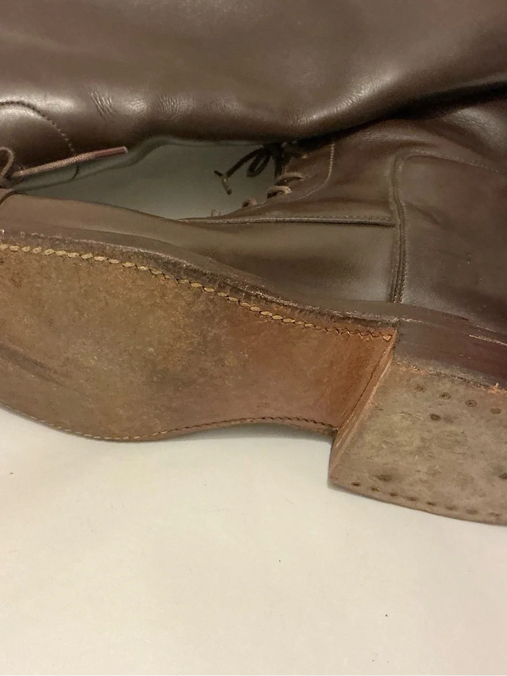 Dehner’s Women's Over-the-Knee Lace-Up Riding Boots in Dark Brown